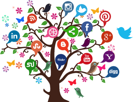 Why Do You Need Social Media for Your Business?